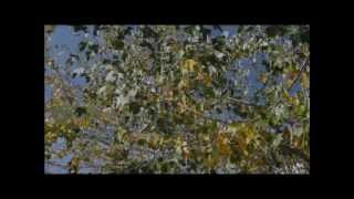 O tempo passa por mim