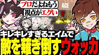 【VALORANT】プロみたいなエイムを披露して全員を驚かせるウォッカ w/ とっぴー、切痲、ととみ、うゆりる【ヴァロラント】