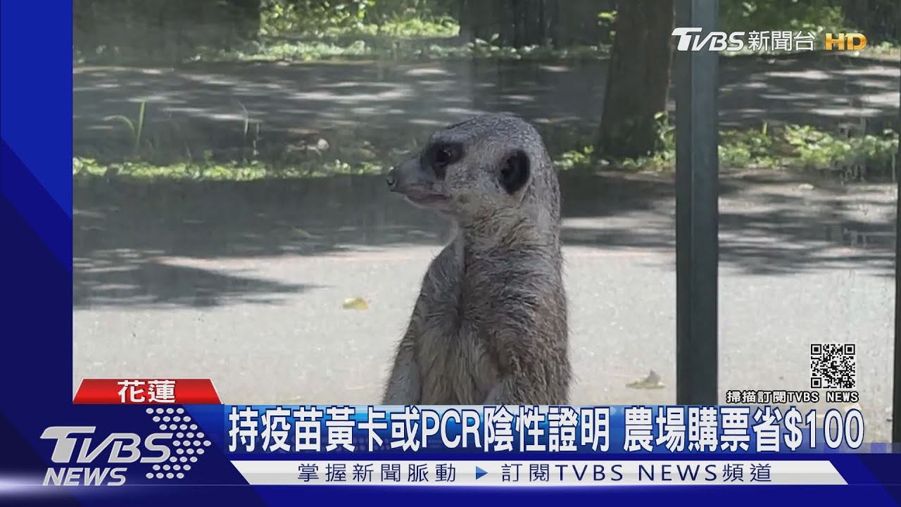 把握暑假!樂園搶商機 紛推入園優惠吸客
