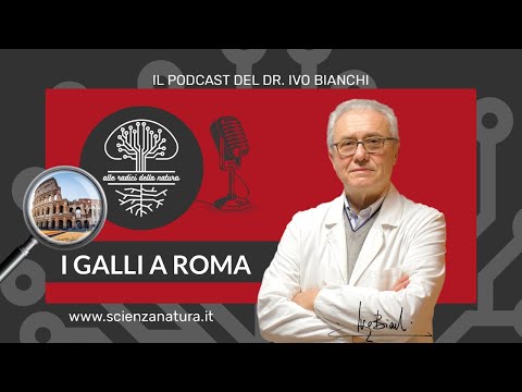 , title : 'I Galli a Roma'