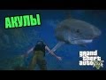 Прохождение GTA V | Охота на АКУЛ, АКУЛЫ не дремлют !!! #GTA5sharks 