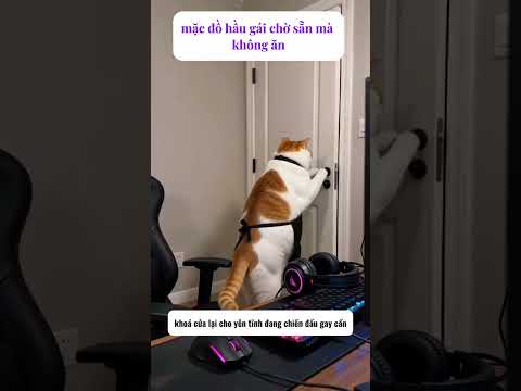Người ta quyến rũ cỡ đó rồi mà còn không vào