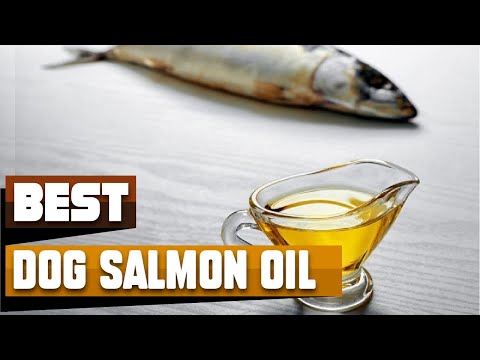 Salmon Oil For Dog : You Should Try at least Once!