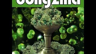 Bongzilla - Stash (1999)(Full Album)