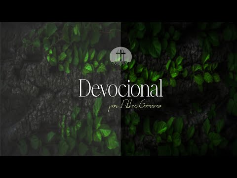 El plan se salvación de Dios | Romanos 11: 1 - 10