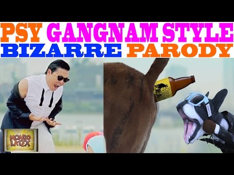 PSY - GANGNAM STYLE (강남스타일) M/V - BIZARRE PARODY