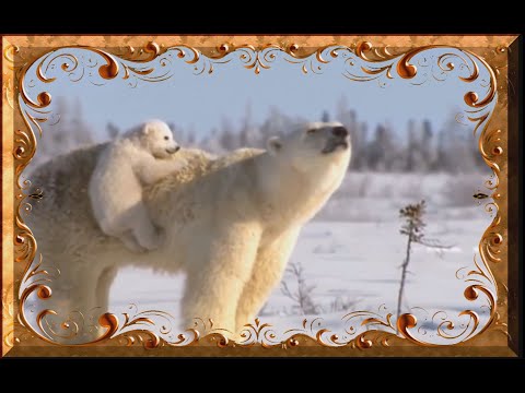 Г Р У С Т Ь  _  З И М Н Е Й _  Р О М А Н Т И К И