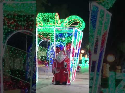 Isso é Carolina Maranhão