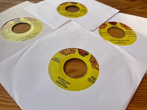 Praise Him Riddim Mix 2002 (Capleton, Chuck Fenda, Sanchez, Mikey Spice, Tinga Stewart, Anthony Cruz