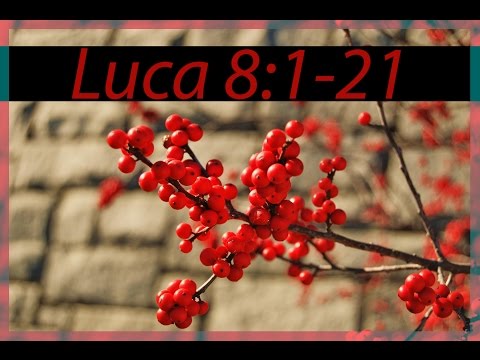 Predica Samuel Ghica: Luca 8:1-21