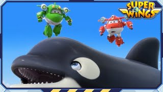 [SUPERWINGS Best] Sudden Appearance of a Giant Creature | Super Wings | Best Compilation EP76