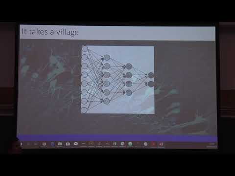 Introduction to Biological and Artificial Intelligence (Harvard Neuro 140 Class by Gabriel Kreiman)