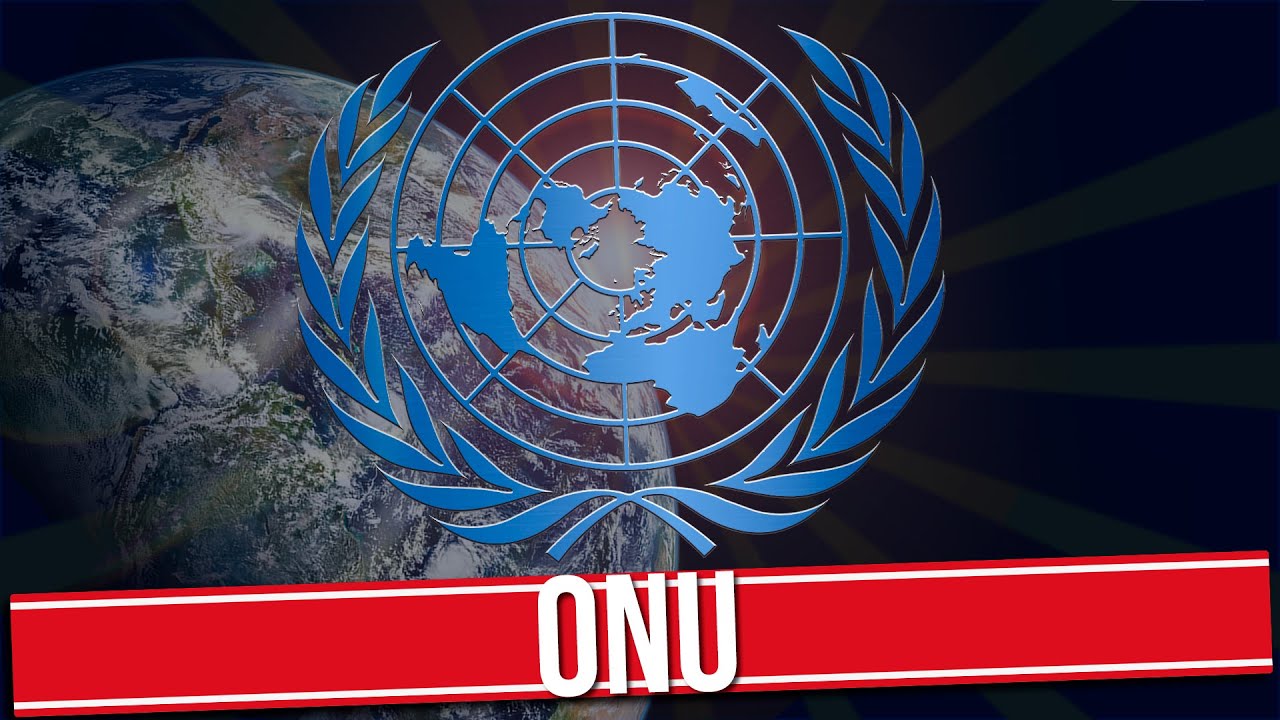 COMO FUNCIONA A ONU?