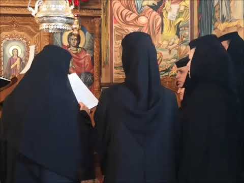 20190526 NICOLAE BALASOIU - DUMINICA A 5 A DUPA PASTI – A SAMARINENCEI