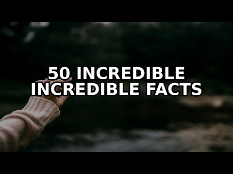 50 Incredible Facts About Sustainable living tips and green habits