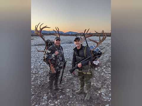 Self Guided Moose Caribou and Wolf Hunt ANWR Alaska Sept 2020