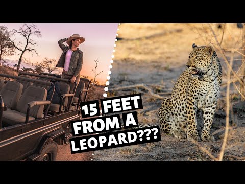 Sabi Sabi Earth Lodge video tour thumbnail