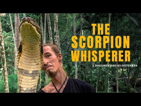 Snakes, Spider & Scorpions | Living a wild life in Mexico