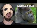 Gorilla Rizz YTP Inside A Gorilla S Butt Edition Reaction