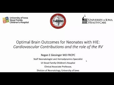 Optimal Brain Outcomes for Neonates With HIE: Cardiovascular Contributions and the Role of the RV