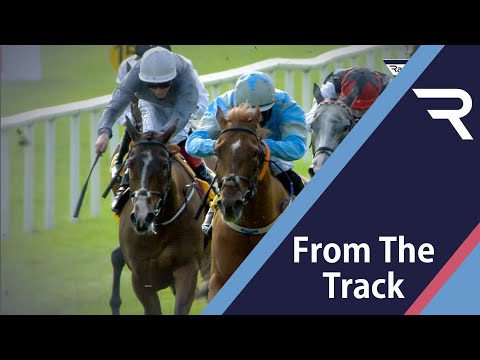 2020 Dubai Duty Free Irish Derby Day Highlights - some of the most exciting moments from The Curragh