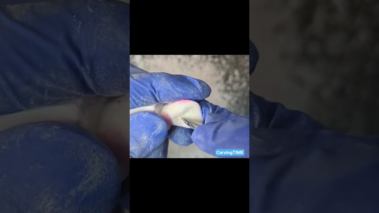 #dentaltechnician #dentalartistry #toothcarving #dentaleducation #carving #carvingtime #art