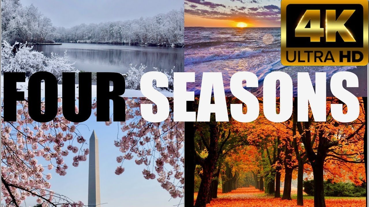 What are the seasons like in North America? What are the seasons like in North America?