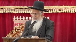 010מצוות ומדות-בראשית כ''ד-כ''ה (הרב יורם סרי) - התמונה מוצגת ישירות מתוך אתר האינטרנט יוטיוב. זכויות היוצרים בתמונה שייכות ליוצרה. קישור קרדיט למקור התוכן נמצא בתוך דף הסרטון