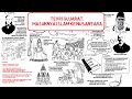 Teori Gujarat Proses Masuknya Islam Ke Nusantara