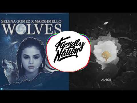 Without You X Wolves [Mashup] | Marshmello, Avicii, Selena Gomez