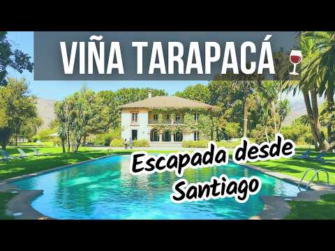 El tour de vinos MÁS LINDO cerca de Santiago: Viña Tarapacá 🥂
