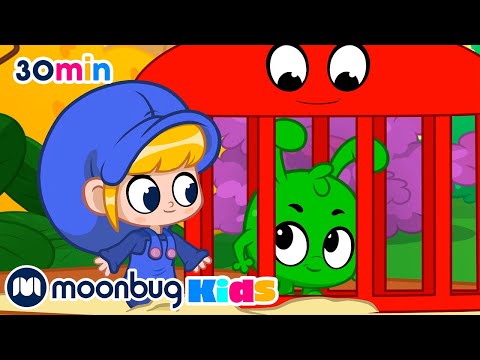 Orphles Angry Neighbour Mischief | @Morphle | Kids Learn ! | Kids Cartoons