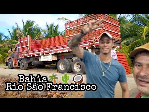 Carregando cocô Verde em Rodelas Bahia x Presidente Prudente SP #scania111 #scaniavabis #deuséfiel 