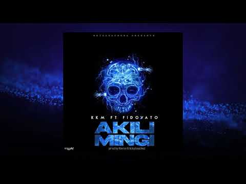 KKM ft FidoVato - Akili Mingi (Official Audio)