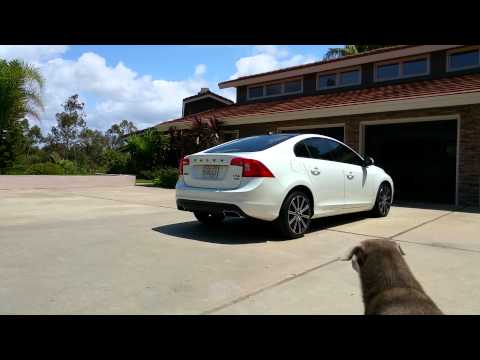 Volvo s60 muffler delete