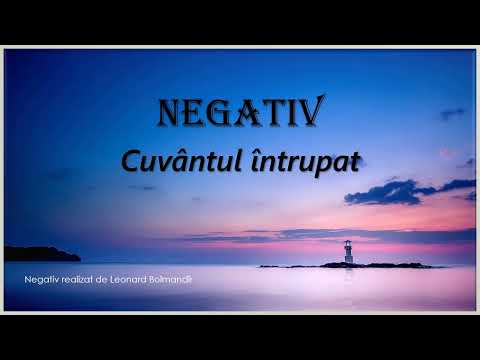 Cuvantul Intrupat - NEGATIV 2021