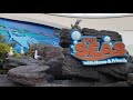 The Seas With Nemo Friends Full Ride In 4K Walt Disney World January 2026