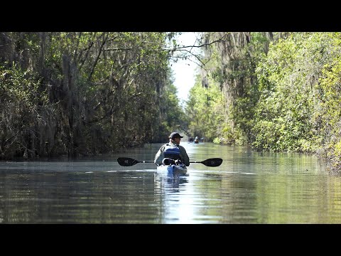 Travel VLOG - Exploring the Okefenokee Swamp, Day 2