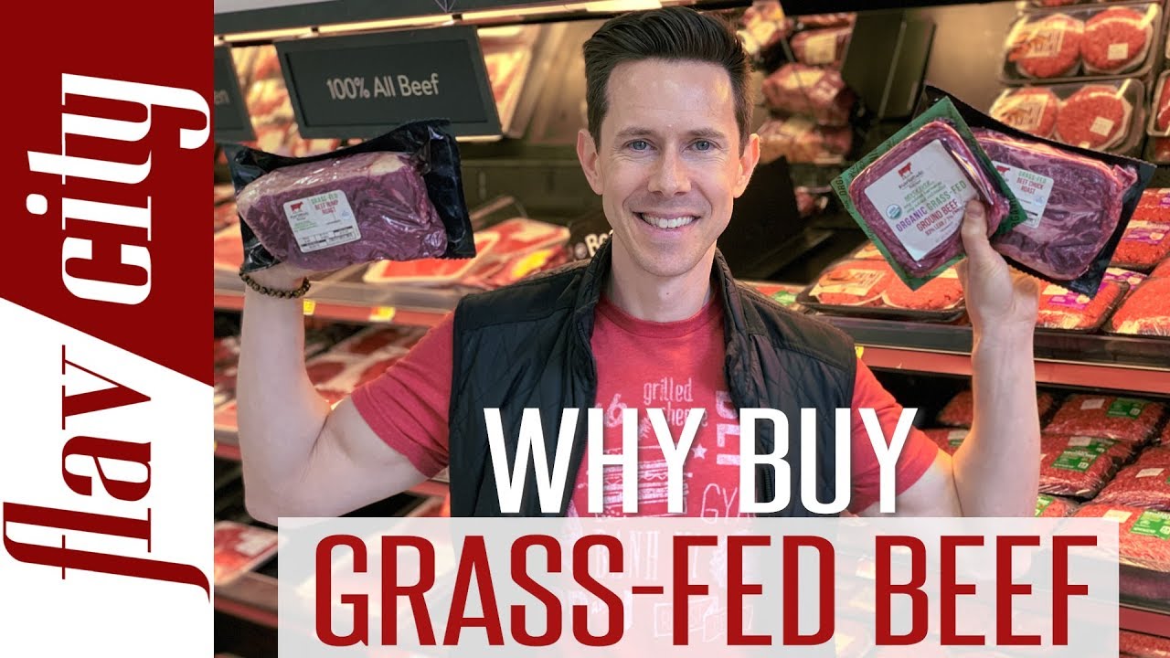 Grass Fed Beef - Everything You Need To Know And Where To Buy It