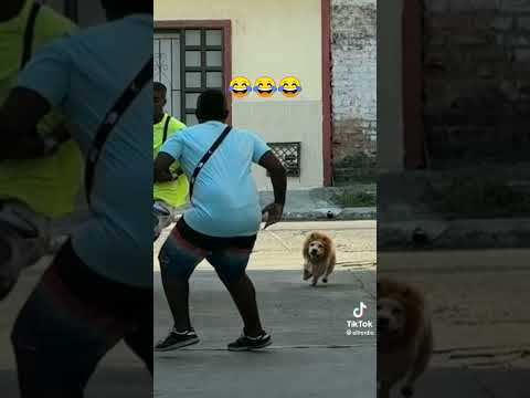 broma de que viene un León #shorts #bromas #shortvideo #shortsfeed #viral #viralvideo #video
