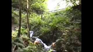 preview picture of video 'Canonteign Falls - Devon Holiday Attractions'