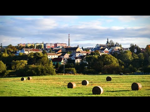 Dáma s hranostajem - Toužim