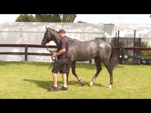 Lot 400 Reliable Man x Fifth Avenue c.