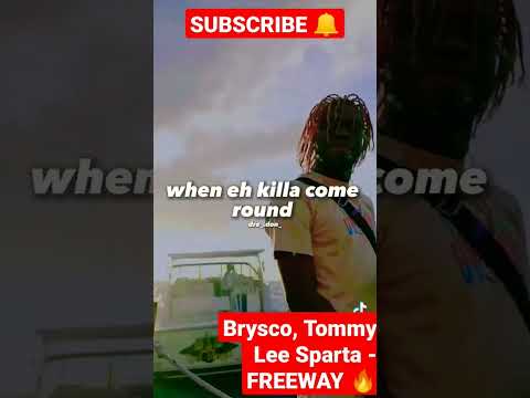 BRYSCO, TOMMY LEE SPARTA - FREEWAY BRYSCO CODE