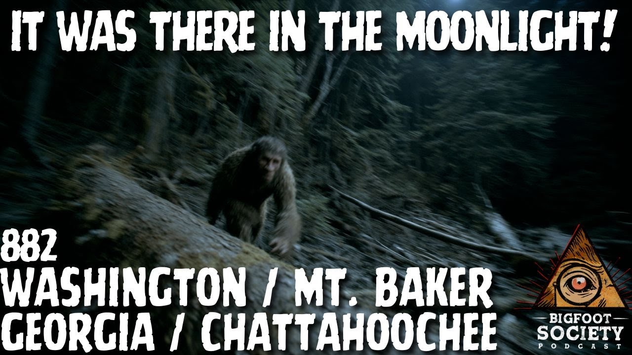 Night of the Sasquatch! | Washington