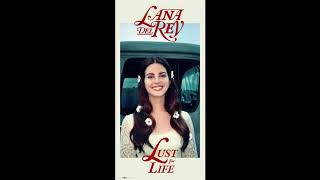 Lana Del Rey - Summer Bummer (feat. A$AP Rocky, Playboi Carti) (Lust for Life) [Audio]