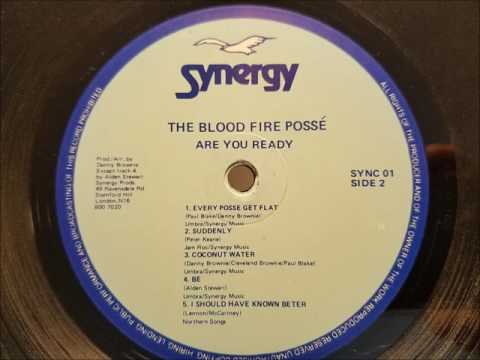 Blood Fire Posse - Every Posse Get Flat - Synergy LP - 1985