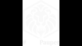 #LyonPauper - Le meilleur du Pauper en français pour MTG