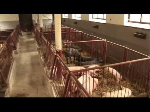 Perfect Competition Part 1