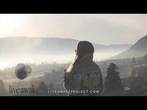 LIVE AWAKE-LEARNING TO HONOUR OUR RYTHMS AND CYCLES